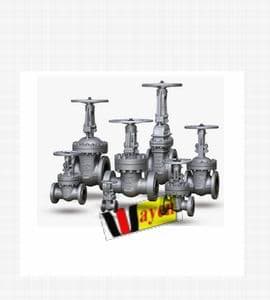 进口明杆软密封闸阀