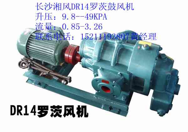 供应R14罗茨鼓风机长沙风机