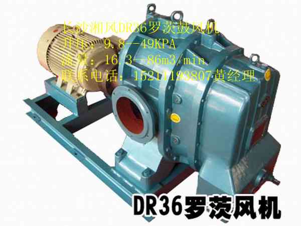 DR36鼓风机厂罗茨鼓风机