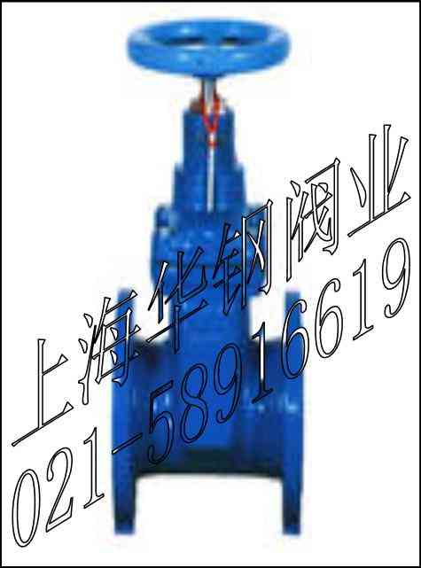 FDZ45X-16加密防盗软密封闸阀