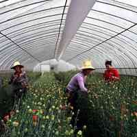 供应在温棚种植专用送风布风管
