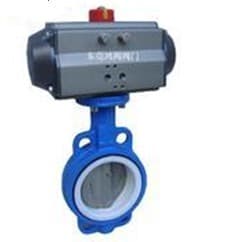 气动四氟不锈钢蝶阀(DF-JT14)