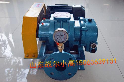 罗茨鼓风机山东战尔
