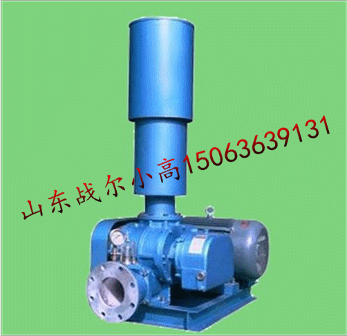 厂家直销三叶罗茨鼓风机