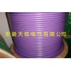 PROFIBUS-DP电缆(6XV1830-3EH10)