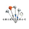 WRNK-240 L=600/450mm隔爆热电偶