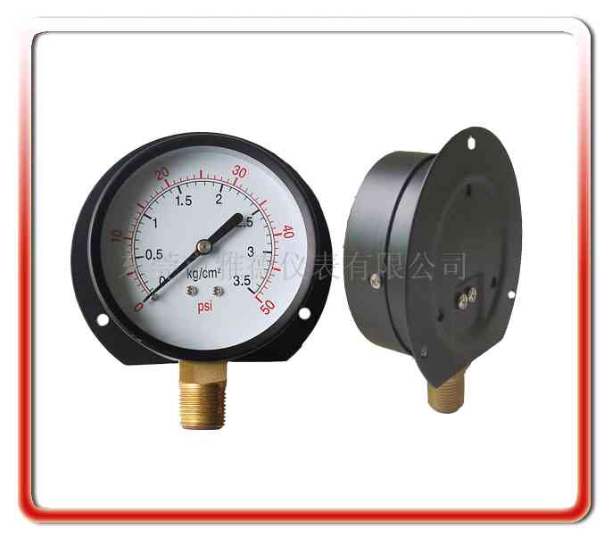 铁壳直立式带后边气压表系列